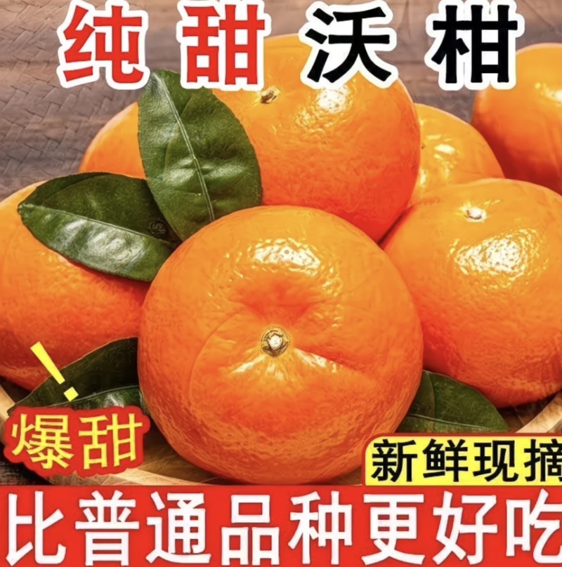 广西沃柑