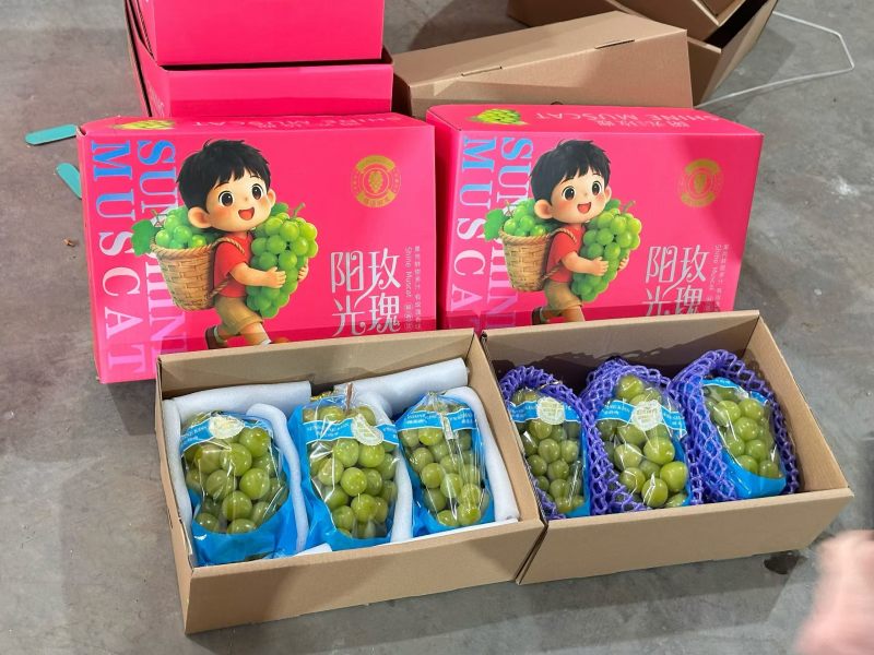 礼盒阳光玫瑰葡萄阳光玫瑰葡萄礼盒装对接商超电商团购
