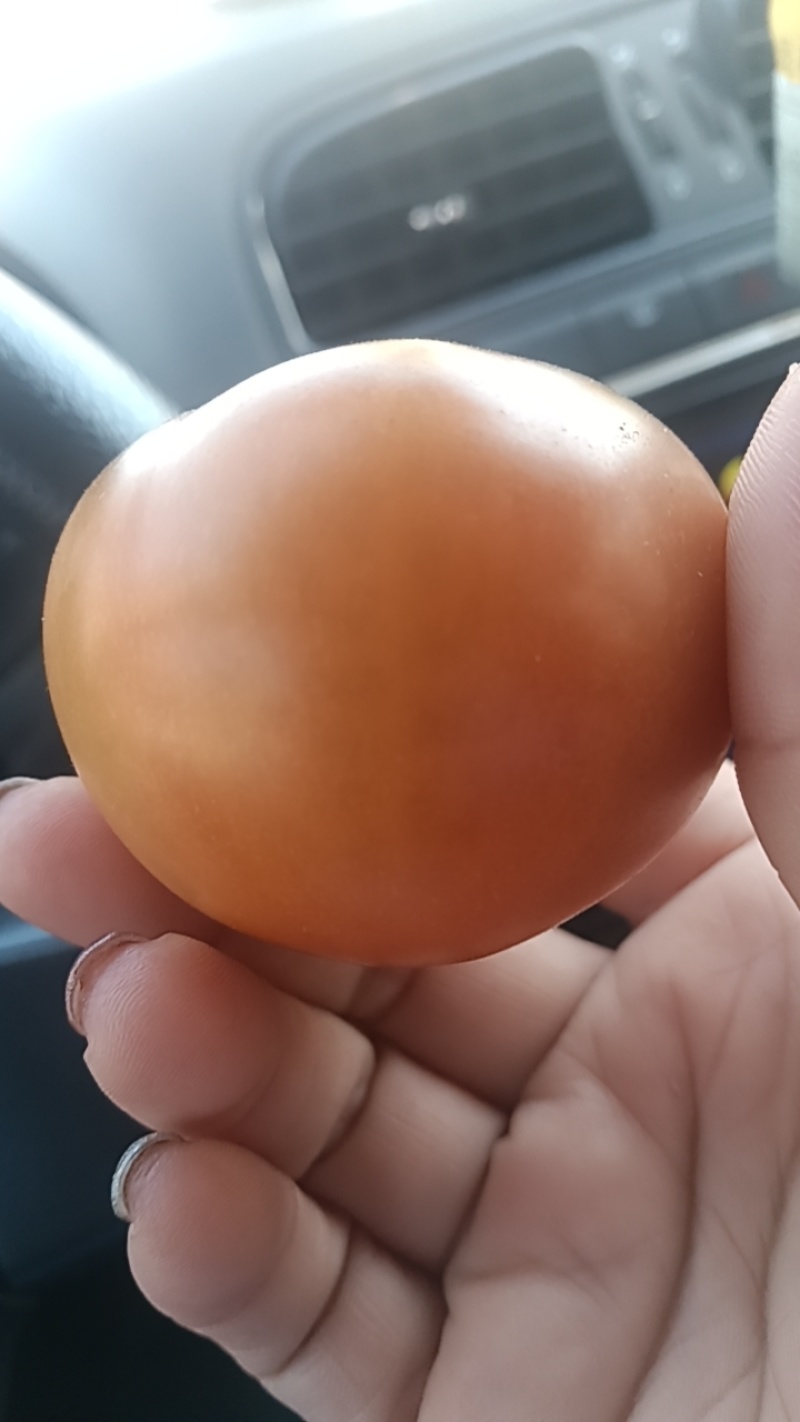 草莓番茄