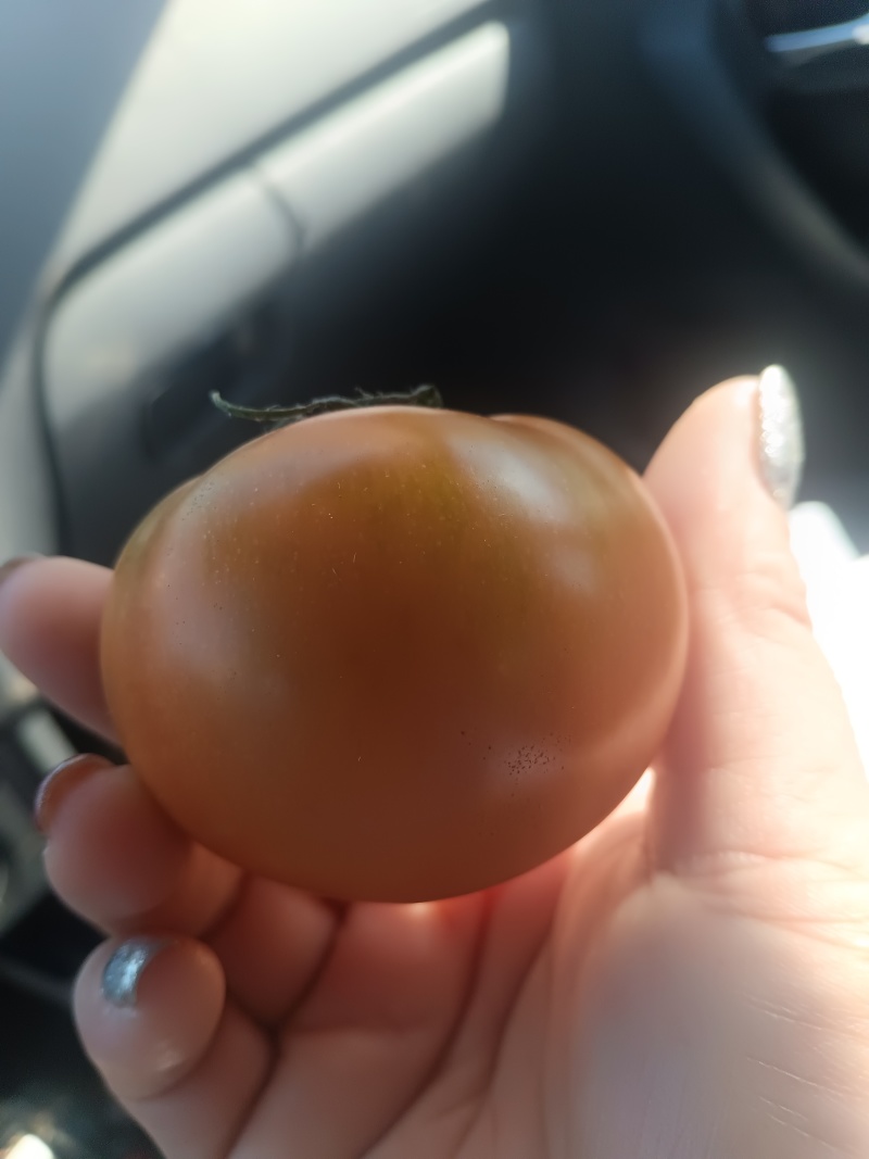 草莓番茄