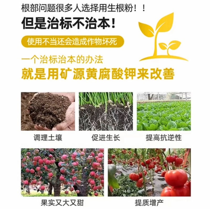 全水溶矿源黄腐酸钾生根壮苗改良土壤松土1000克一袋
