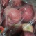 红富士苹果品质保证服务周到产地直发价格美丽