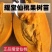 耀堂仙桃嫁接苗鸡蛋果台湾改良品种大果包甜盆栽明年结果