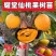 耀堂仙桃嫁接苗鸡蛋果台湾改良品种大果包甜盆栽明年结果