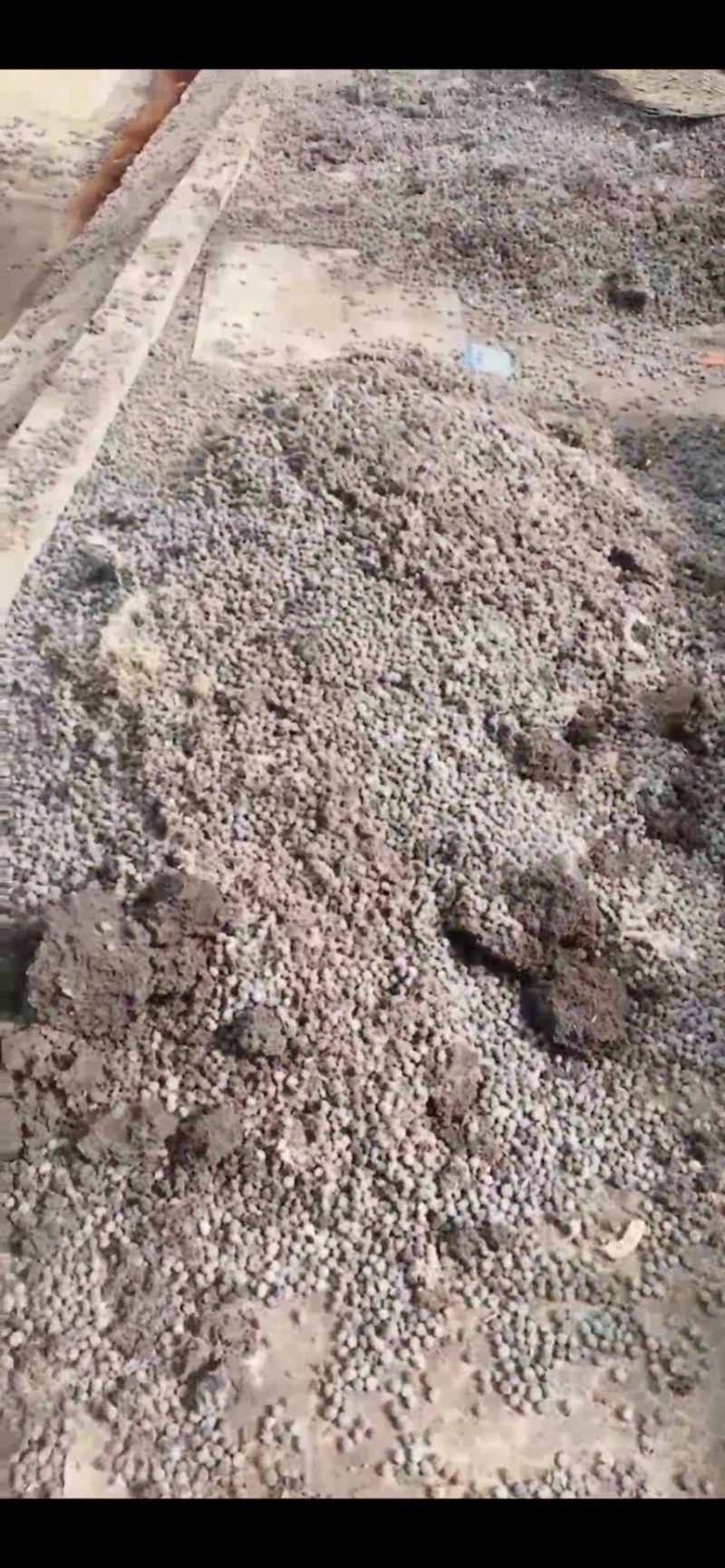 兔粪量大，大颗粒，优质兔粪