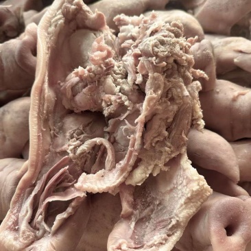 半成品猪头肉