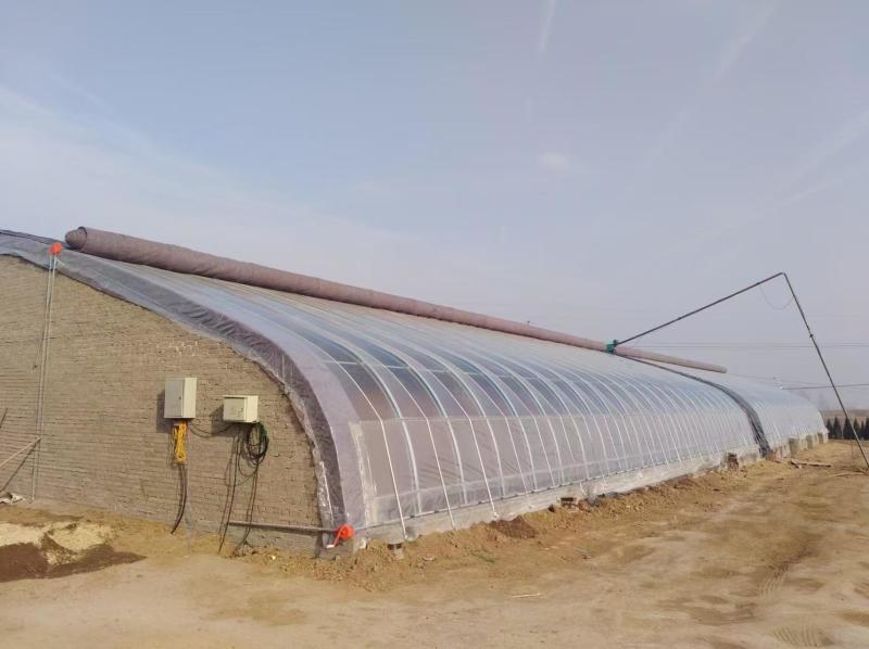 香菇大棚建设