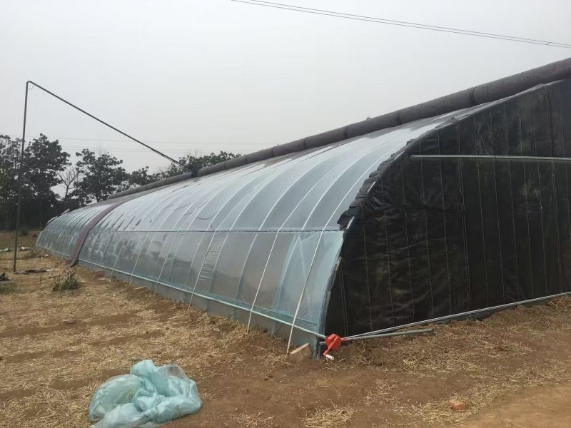香菇大棚建设