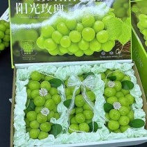 礼盒阳光玫瑰葡萄阳光玫瑰葡萄礼盒装对接商超电商团购