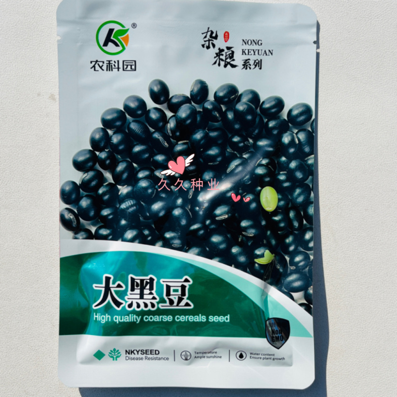 农科园大黑豆种子中熟黑豆种子家庭种子蔬菜种小菜园易种植