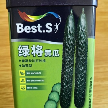 黄瓜种子苗春夏秋季四季高产满心绿黄瓜菜种子阳台庭院蔬菜种