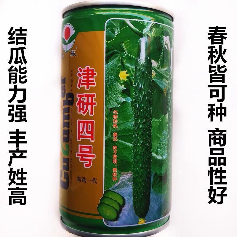 黄瓜种子苗春夏秋季四季高产满心绿黄瓜菜种子阳台庭院蔬菜种