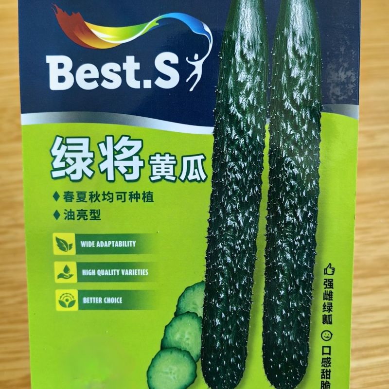 黄瓜种子苗春夏秋季四季高产满心绿黄瓜菜种子阳台庭院蔬菜种