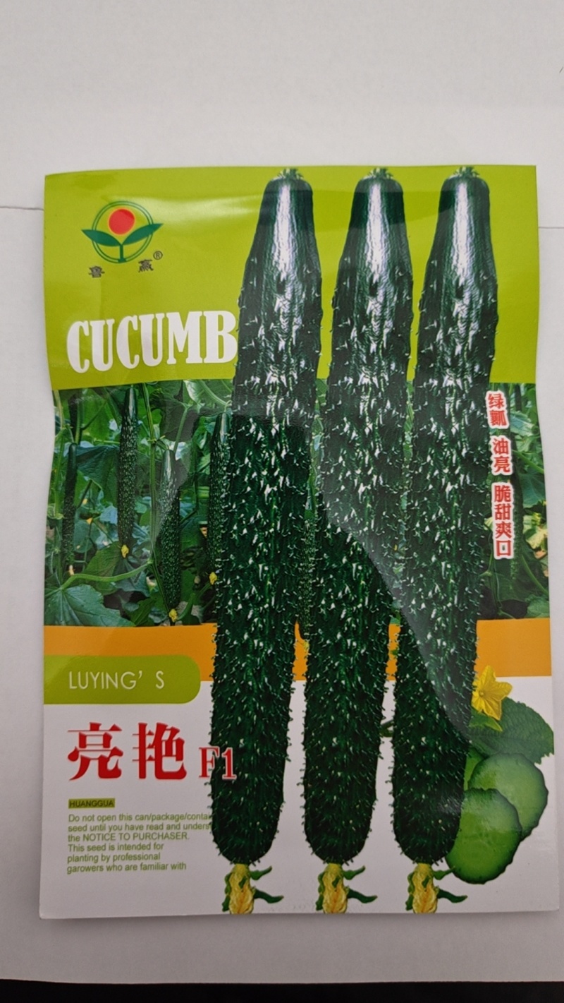 黄瓜种子苗春夏秋季四季高产满心绿黄瓜菜种子阳台庭院蔬菜种