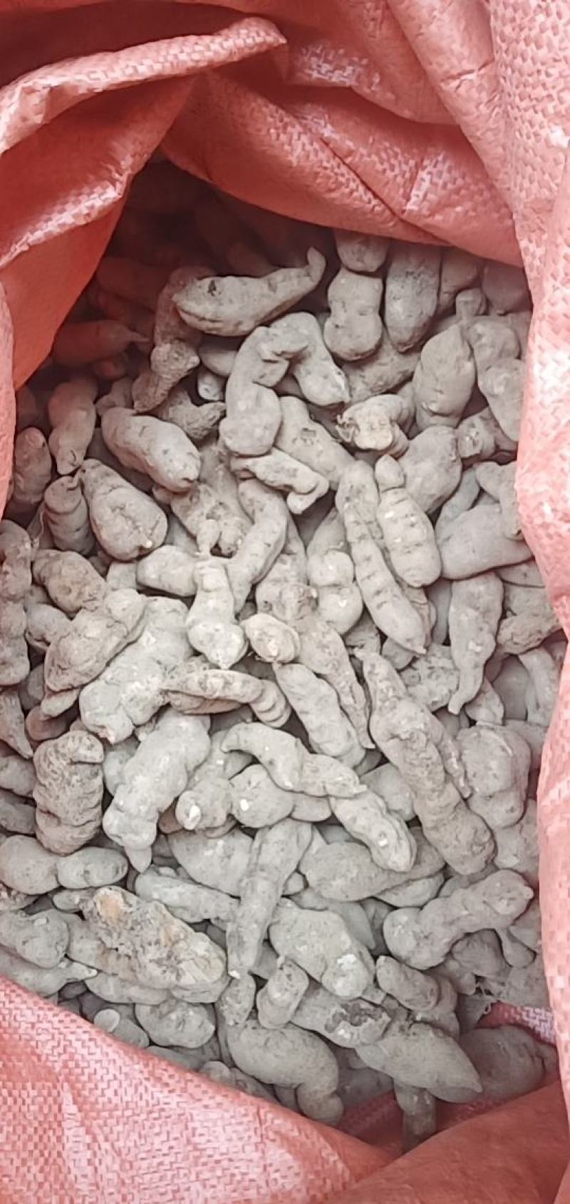 长条三叶青干货