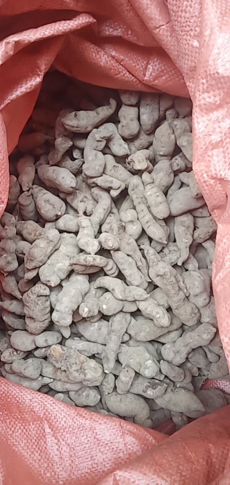 长条三叶青干货