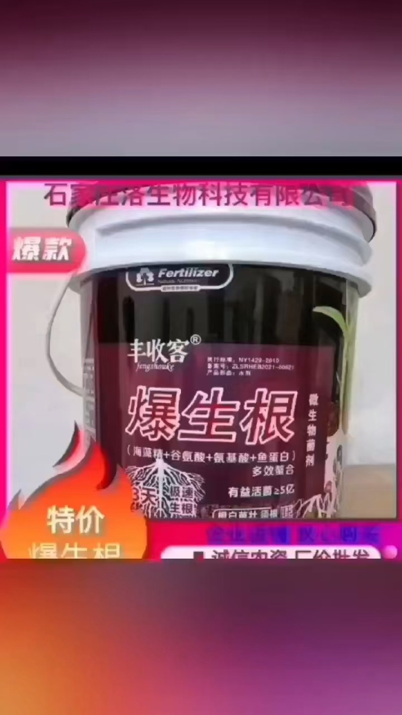 爆生根液体肥生根壮苗根茎粗壮增加产量