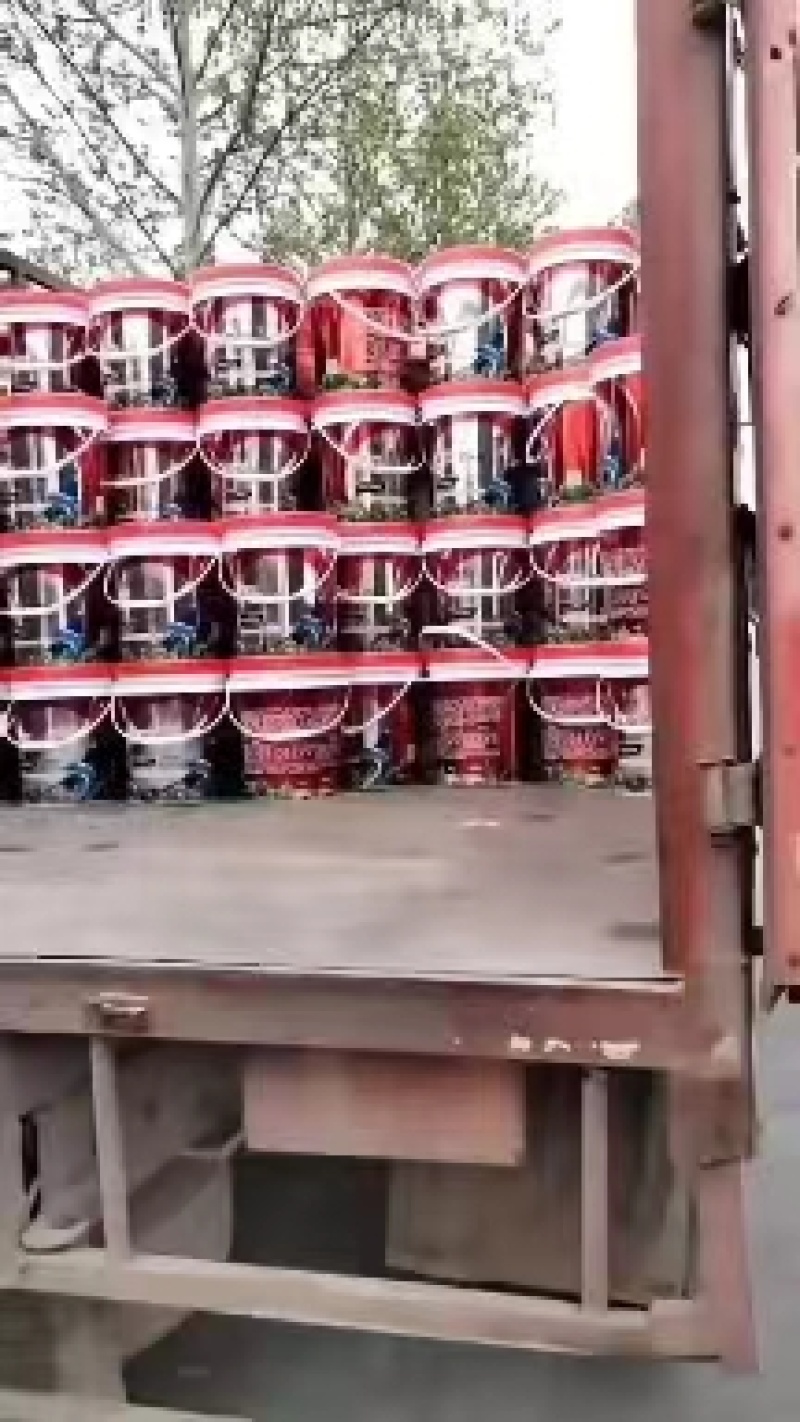 爆生根液体肥生根壮苗根茎粗壮增加产量