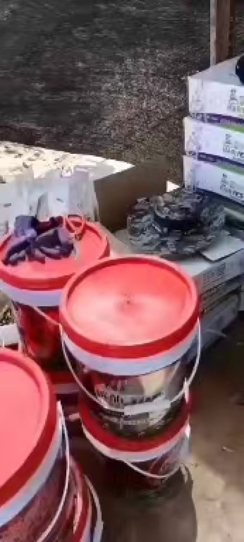 爆生根液体肥生根壮苗根茎粗壮增加产量