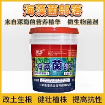海藻菌部落微生物菌肥疏松土壤抗盐碱性，抗寒抗逆