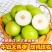 广西精选牛奶大青枣蜜丝枣