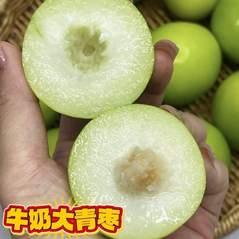 广西精选牛奶大青枣蜜丝枣