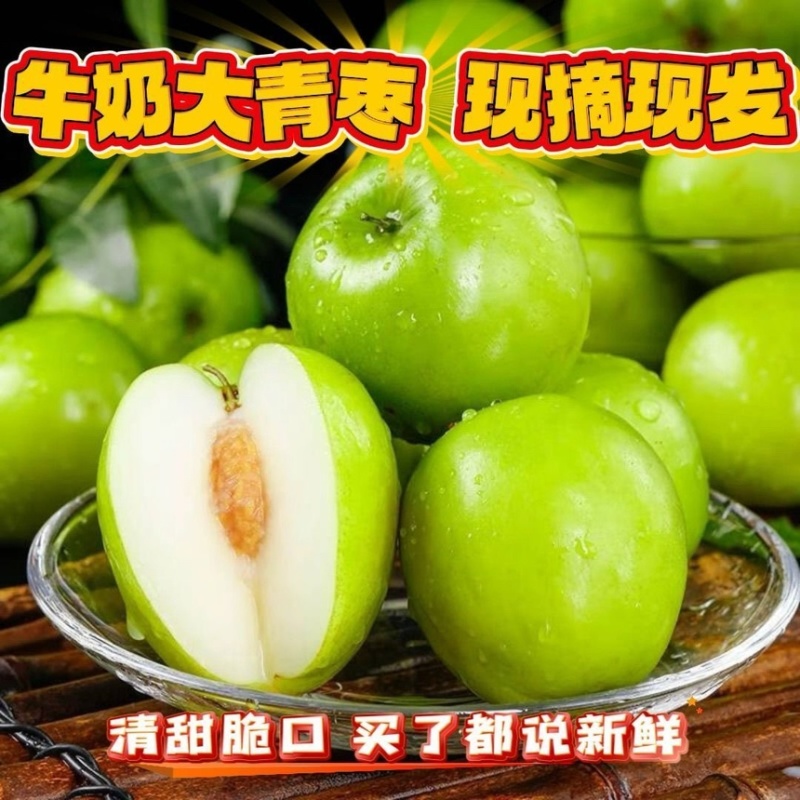 广西精选牛奶大青枣蜜丝枣