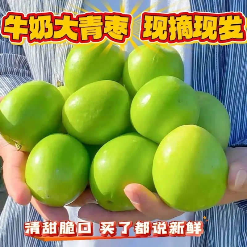 广西精选牛奶大青枣蜜丝枣