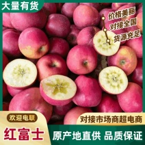 山东红富士苹果糖心甜脆多汁货源稳定全国发货价格便宜