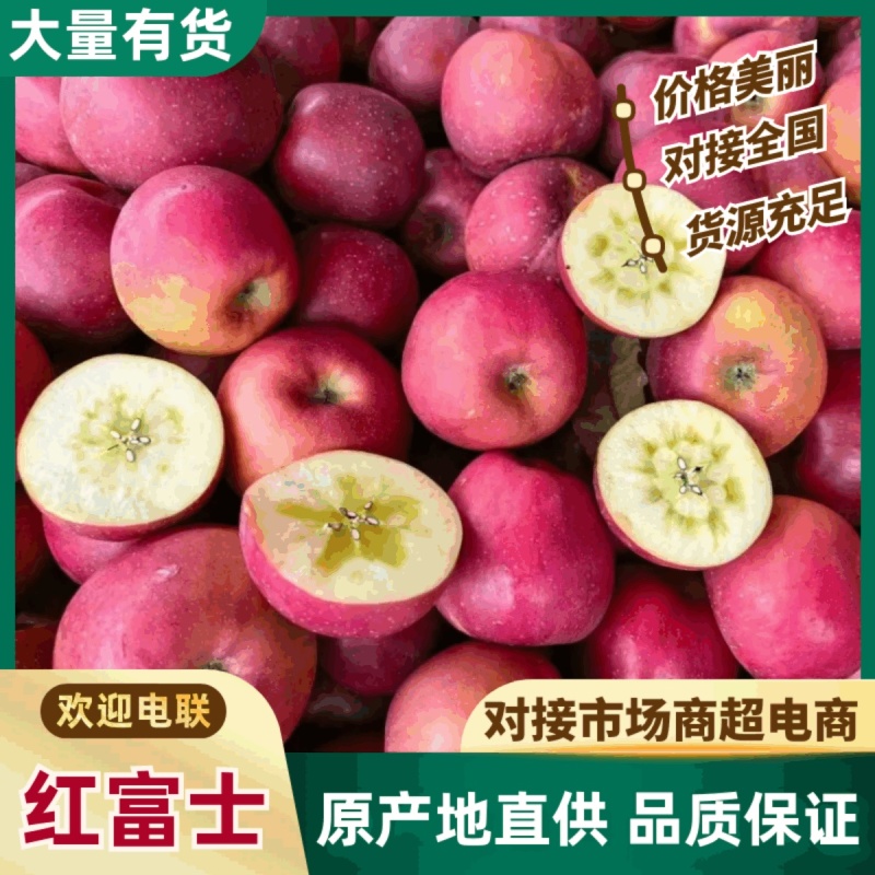 山东红富士苹果糖心甜脆多汁货源稳定全国发货价格便宜