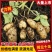 荷兰十五土豆黄皮黄心V7货源稳定价格优惠品质保障