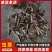 虫草/冬虫夏草/产区直发/货源充足