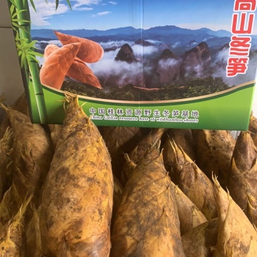 猫儿山高山野冬笋礼盒