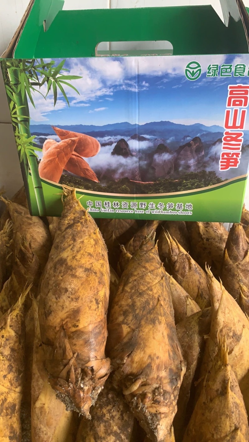 猫儿山高山野冬笋礼盒