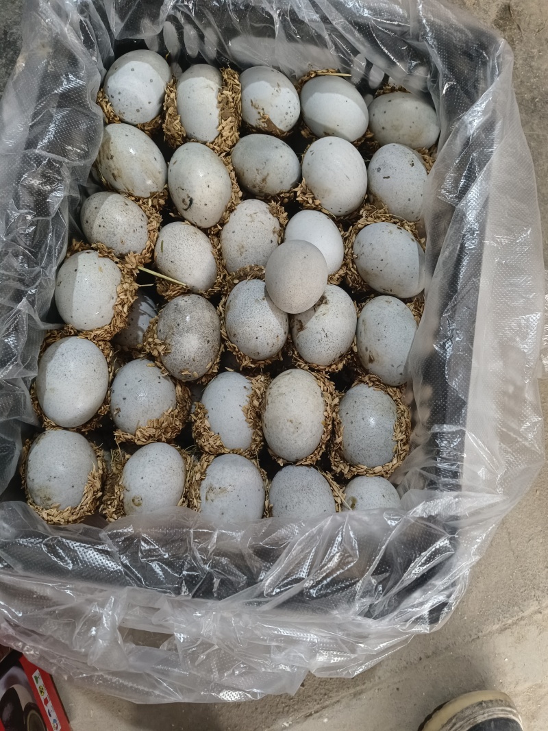 赶大集摆地摊畅销品包泥松花蛋