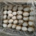 赶大集摆地摊畅销品包泥松花蛋