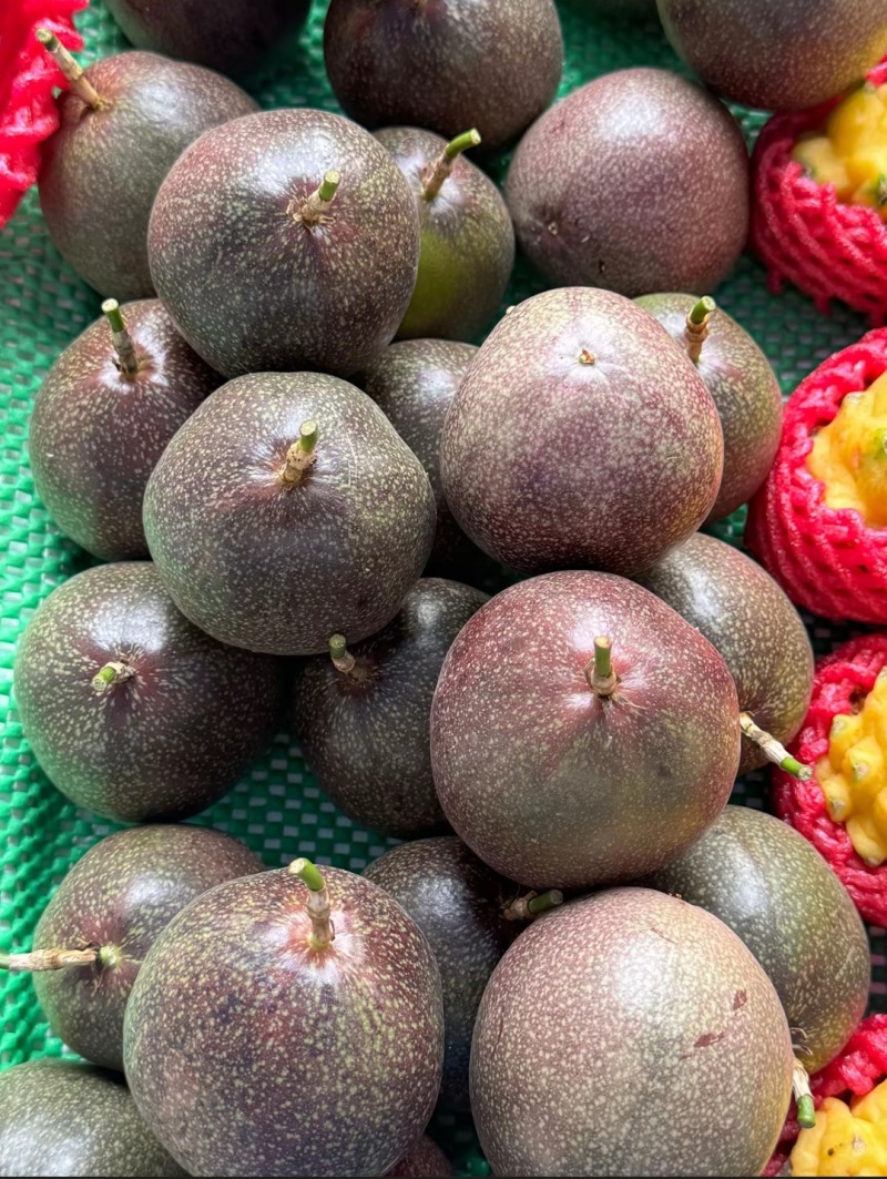 金都3号蜜挑百香果