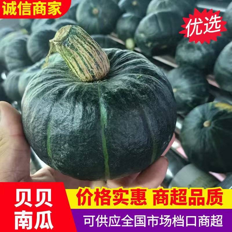 贝贝南瓜