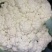 【实力商家】产地直发【保质保量】量大从优【诚信经营】菜花