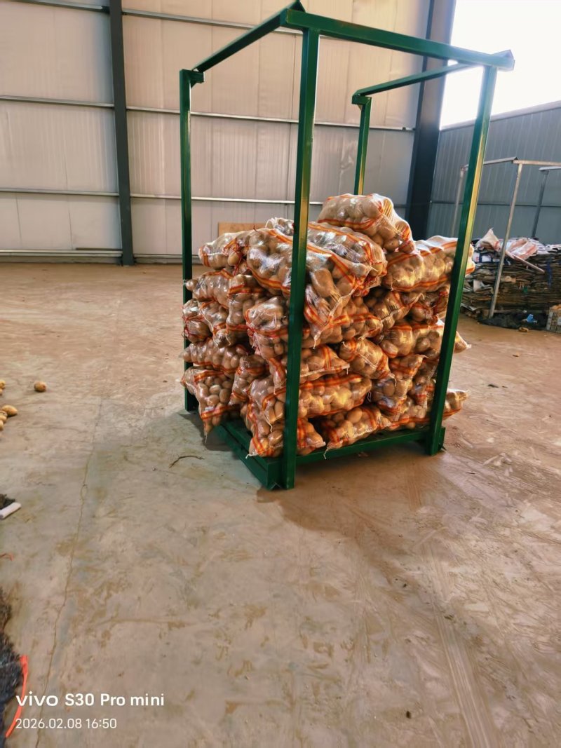 滕州大棚V7土豆，基地发货价格合理质量保证可视频看货