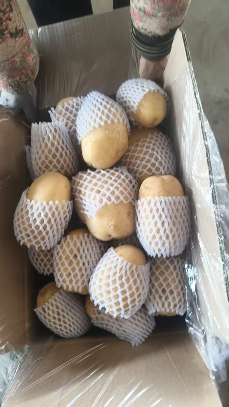 大量供应手选榆林中货1.5两到3两多8钱到1.23
