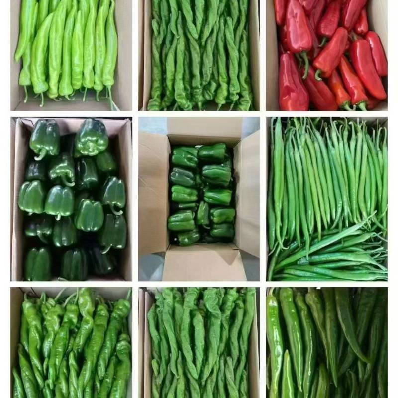 螺丝椒，太空椒，方椒，红泡椒