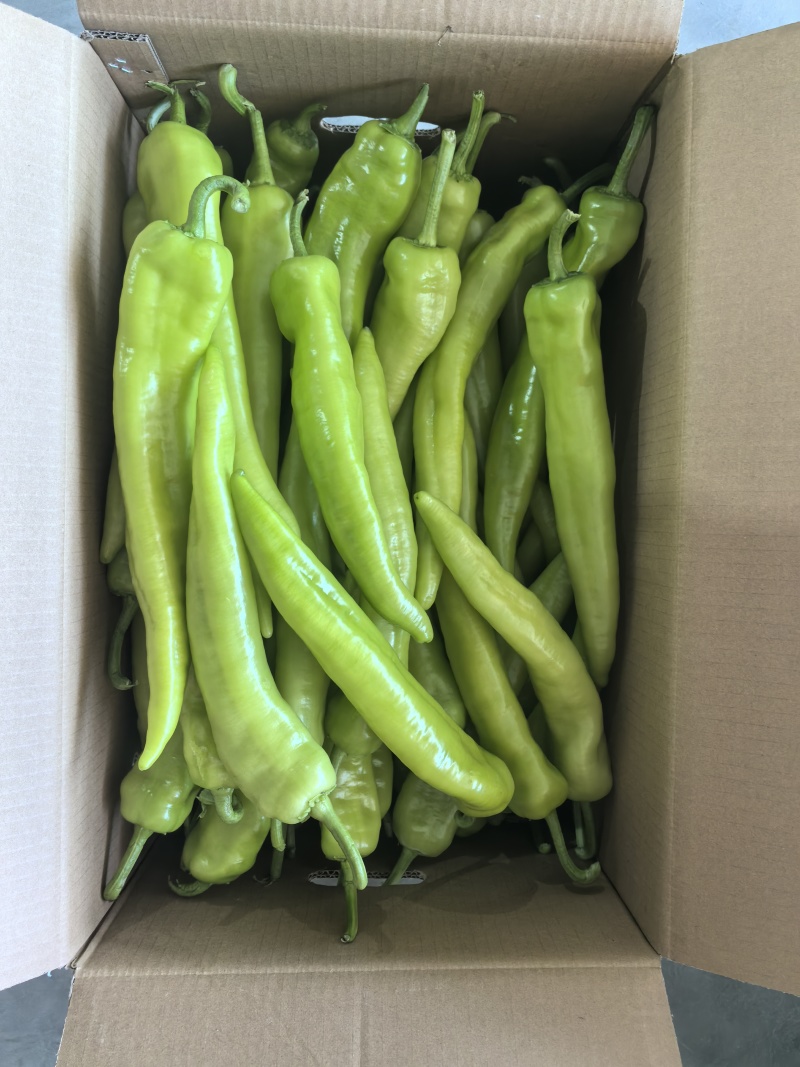 螺丝椒，太空椒，方椒，红泡椒