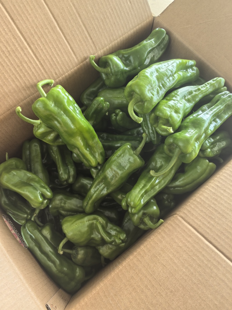 螺丝椒，太空椒，方椒，红泡椒