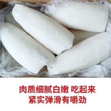 墨鱼筒墨鱼肉去皮去脏墨鱼大乌贼