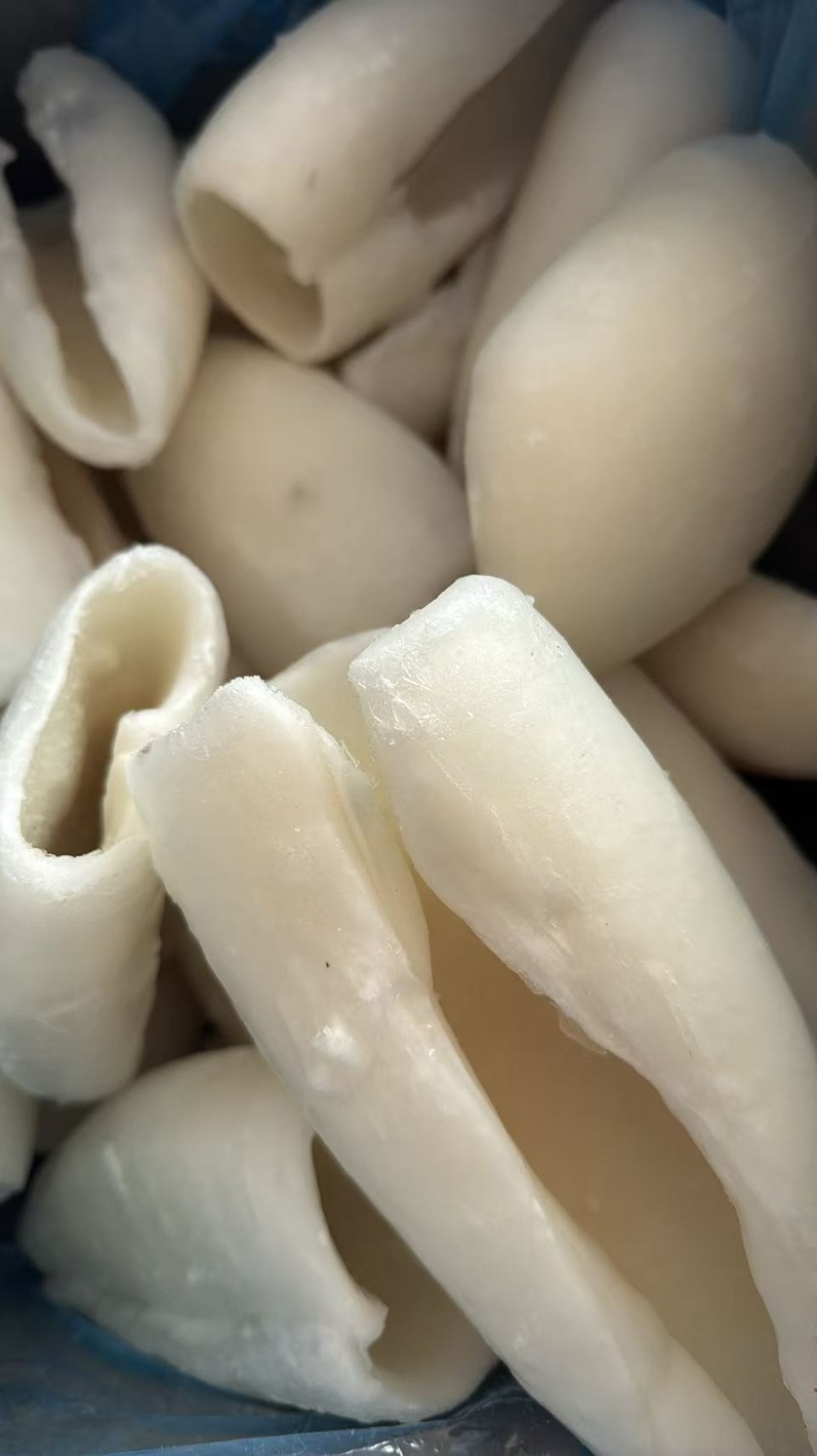 墨鱼筒墨鱼肉去皮去脏墨鱼大乌贼