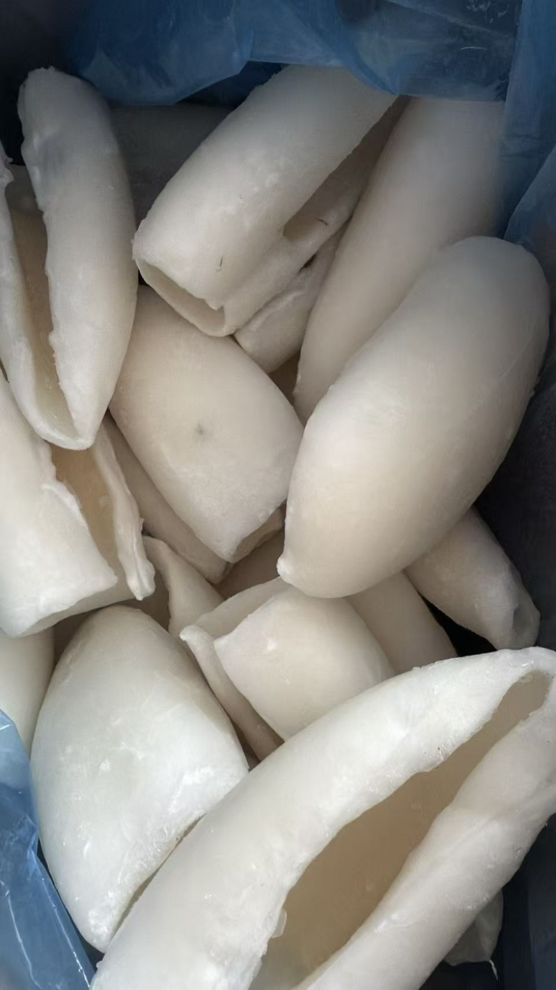墨鱼筒墨鱼肉去皮去脏墨鱼大乌贼