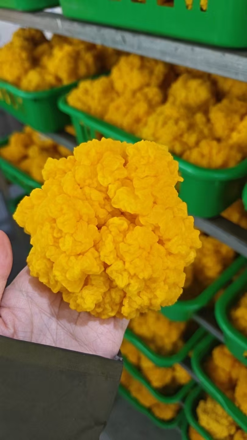 金耳菌鲜品，一年四季都有货，包邮，品质好。量多优惠呦。