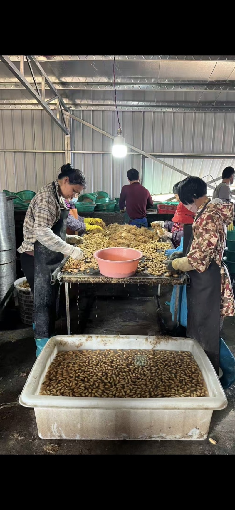 年末最后一批，部分员工放假，一天出不完，明天还得撸袖子干