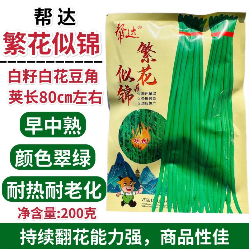 帮达繁花似锦豆角种子白籽白花豆角种籽翠绿色豇豆种子耐热
